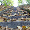 dsc03942.jpg