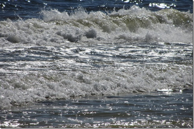 IMG_2359 IMG_2359