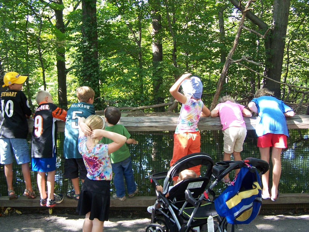 [100_3949%255B6%255D.jpg]