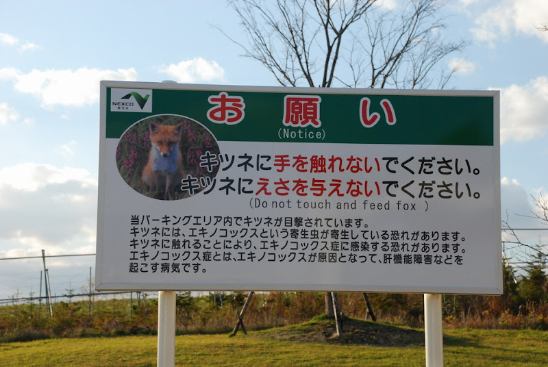 hokkaido_244.jpg