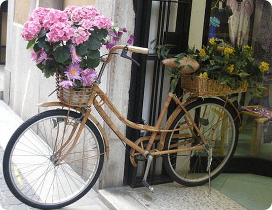 zzzbicicletta1 zzzbicicletta1