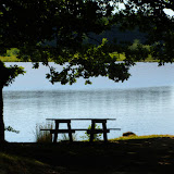 Invitante panchina presso il lago di Landes.