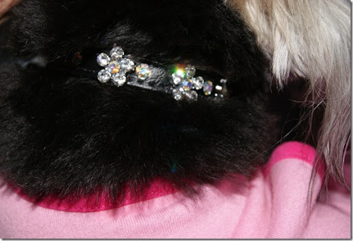 cowgirl couture jewelry mama tried