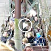 4.MOV