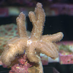 DSC_2152.jpg