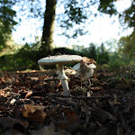 IMG_1728.JPG