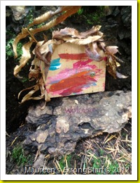 IMG_0889 IMG_0889
