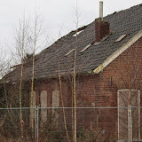 IMG_5923.JPG