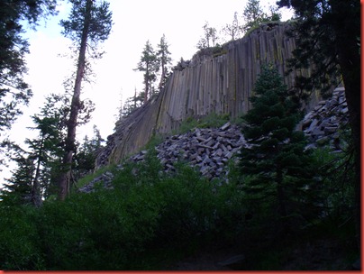 mammoth 025