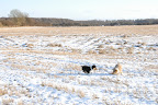 _DSC0032.JPG