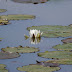 P1050053