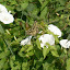 P7100594.JPG