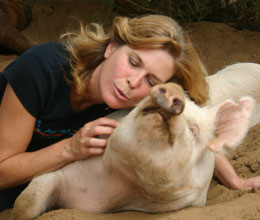 Frank and founder Lorri Bauston run Animal Acres Sanctuary. When Frank heard how Alexa had saved Elf, he offered to make room for Elf to come and live out his life in their care. Frank and founder Lorri Bauston run Animal Acres Sanctuary. When Frank heard how Alexa had saved Elf, he offered to make room for Elf to come and live out his life in their care.