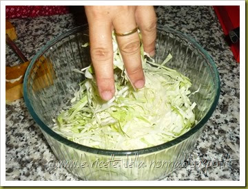 Cuscus integrale di farro con verdure miste al forno, insalata di cavolo cappuccio e fagioli neri piccanti (11)
