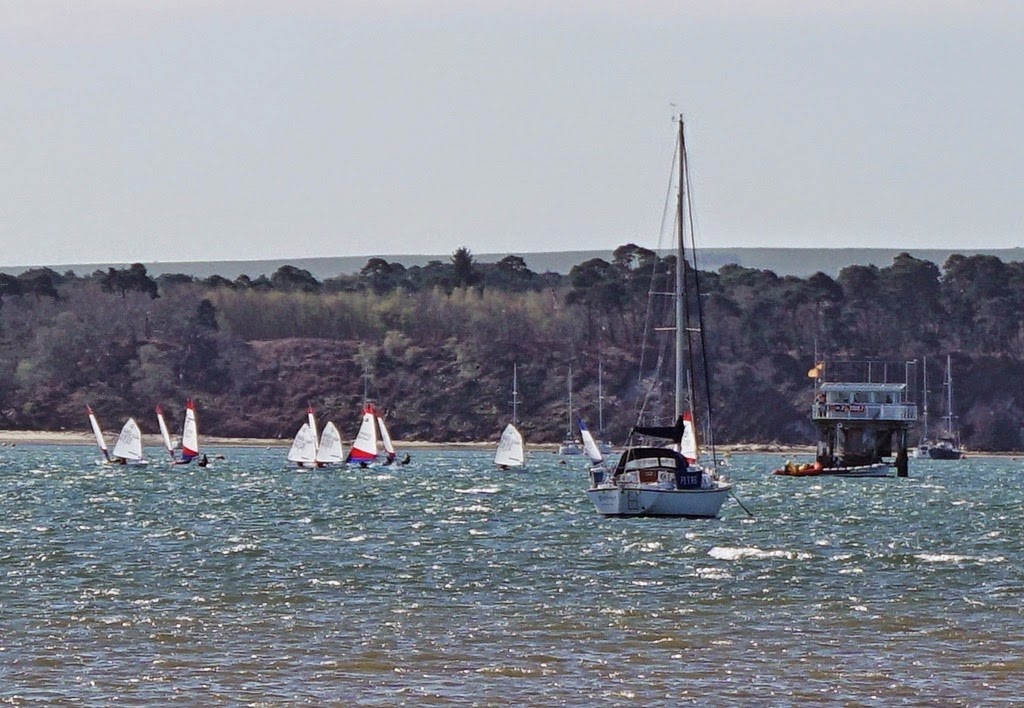 [DSC00236-1300x8996.jpg]