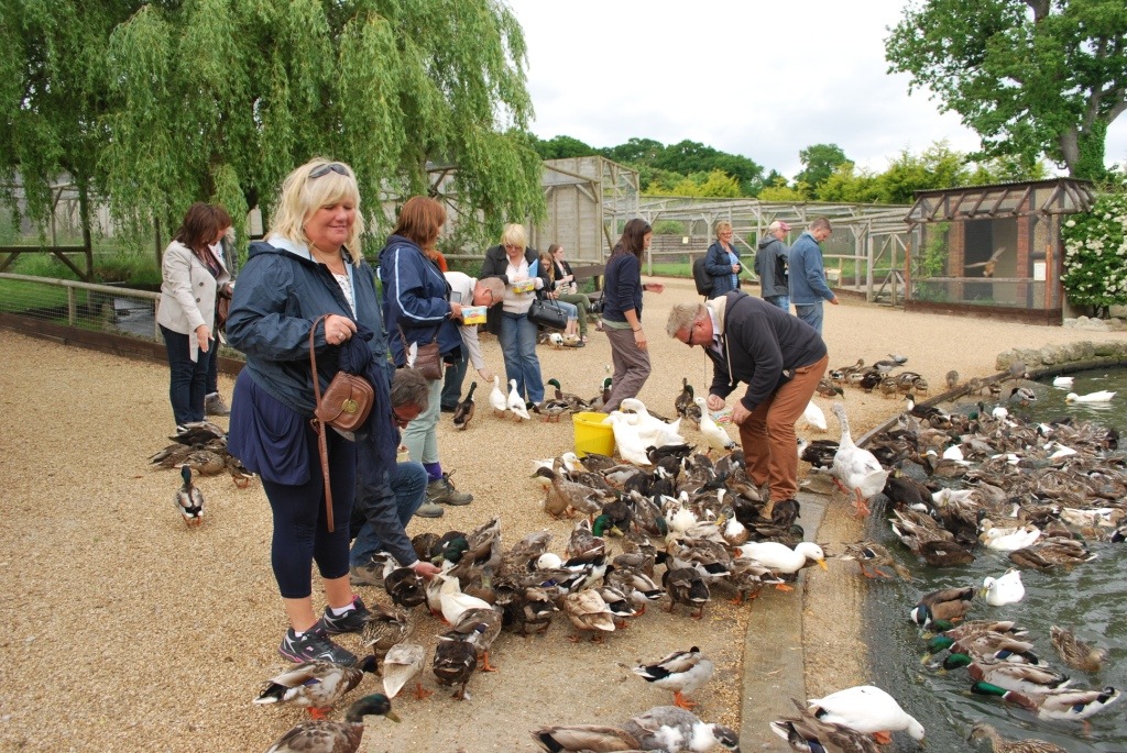 [DSC_0871%255B6%255D.jpg]