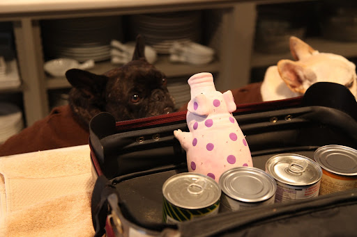 Of course, G.K.  You can borrow my favorite oinking pig.