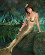 Golden Mermaid