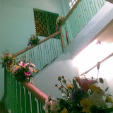 Thanh le Tuyên Ngôn Duc Bab