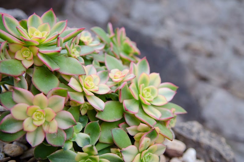 [Eze-20%255B9%255D.jpg]