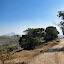Along the road