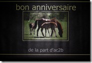 BANDEROLLE ANNIVERSAIRE BANDEROLLE ANNIVERSAIRE