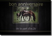 BANDEROLLE ANNIVERSAIRE