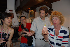 DSC_7177_800x536.JPG
