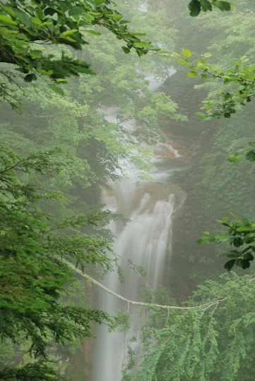 緋の滝