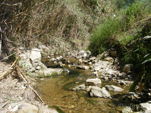 2013_04180061.jpg