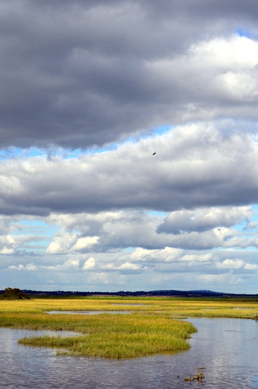 [1-DSC_5060%255B7%255D.jpg]