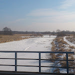 DSC_0465.JPG