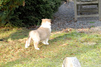 _DSC0053.JPG