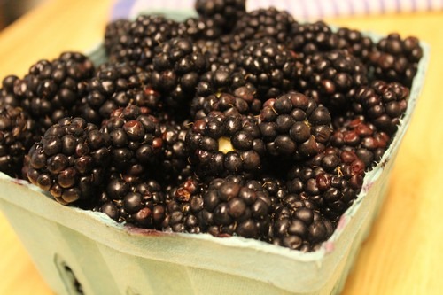 [blackberry-jam0009%255B5%255D.jpg]