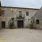 ex pistacchieto Monte Sara - foto di Domenico Oliveri