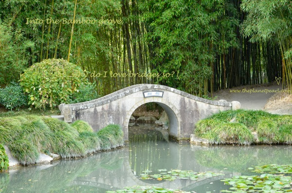 chinese garden bridge.jpg Chinese garden bridge