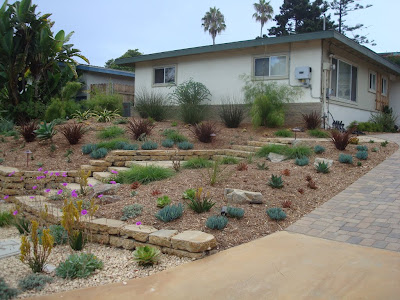 The plantings were designed to be both low maintenance and drought tolerant, Strong foliage texture, form and color will keep the garden interesting year round.