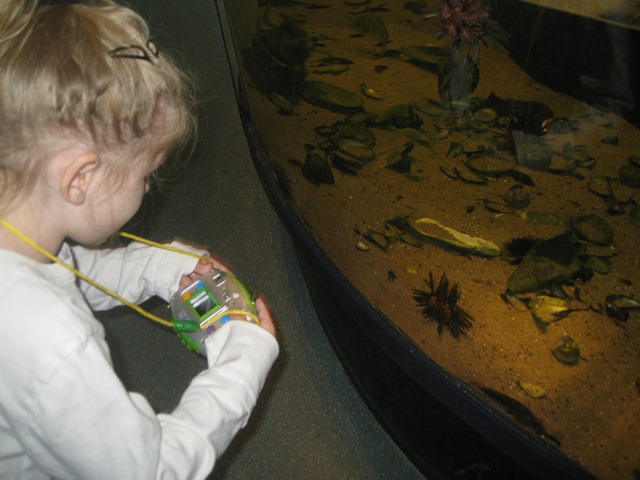[IMG_7156%255B3%255D.jpg]