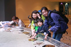 IMG_2988 IMG_2988