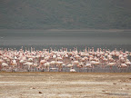Bogoriasee