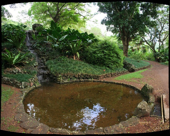 AllertonGardenFountainPool