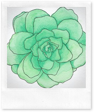 teal flower httppinterest.compin100064422940816526