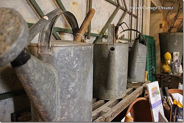 watering cans_1 watering cans_1