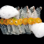 xl_modernist_cuisine_pr_03.jpg