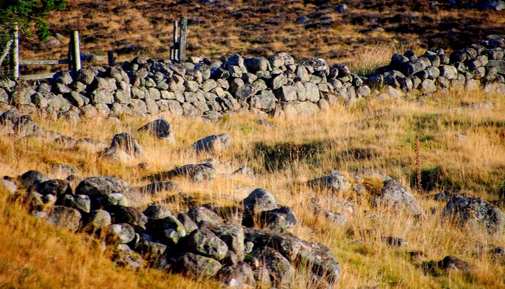 [27%2520Nov%25209%255B3%255D.jpg]