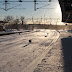 IMG_7629.JPG