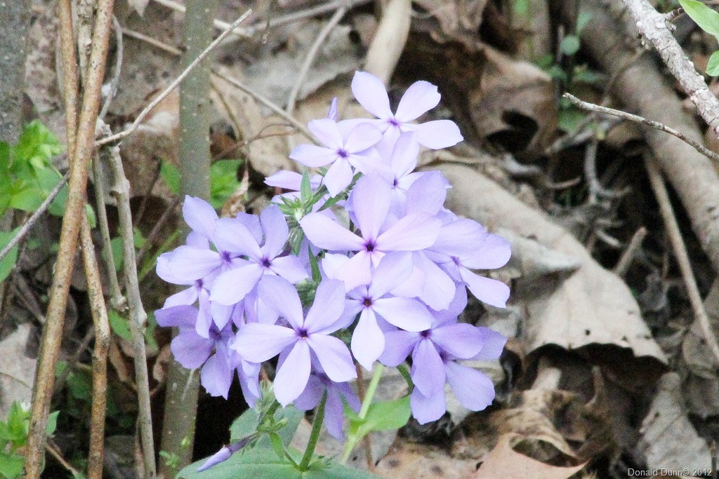 [IMG_2528%255B8%255D.jpg]