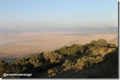 Ngorongoro