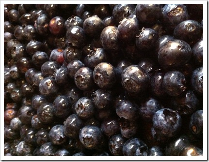 How to freeze blueberries