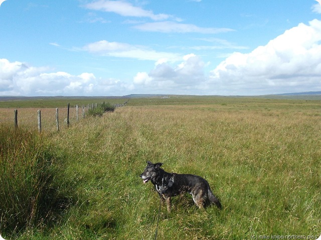 wide open spaces - by the fence to Cumbria